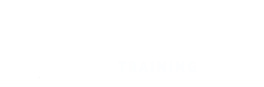 Interic Footer Logo